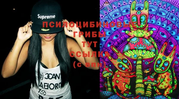 шишки Сатка