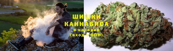 спиды Аркадак