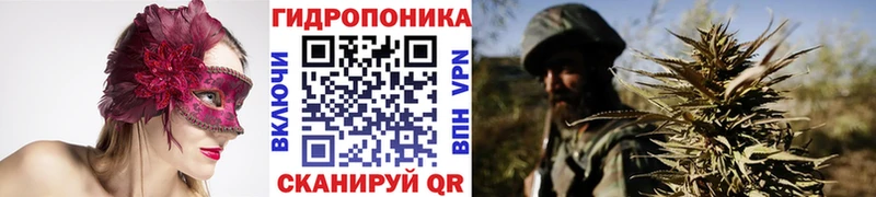 Бошки Шишки индика где найти наркотики Бологое